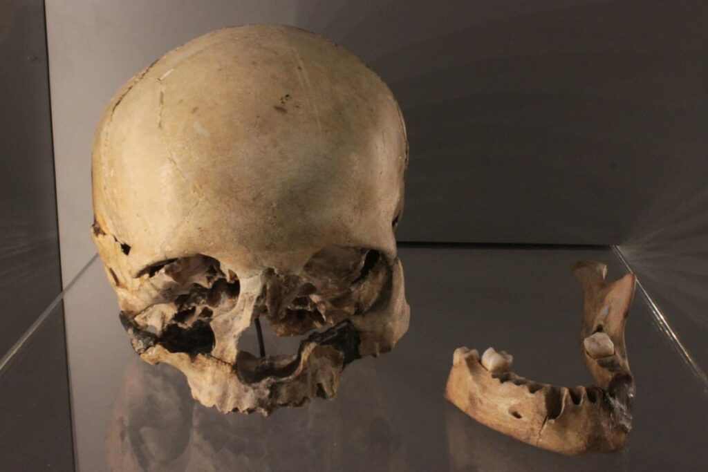 Cráneo humano correspondiente al paleolítico superior