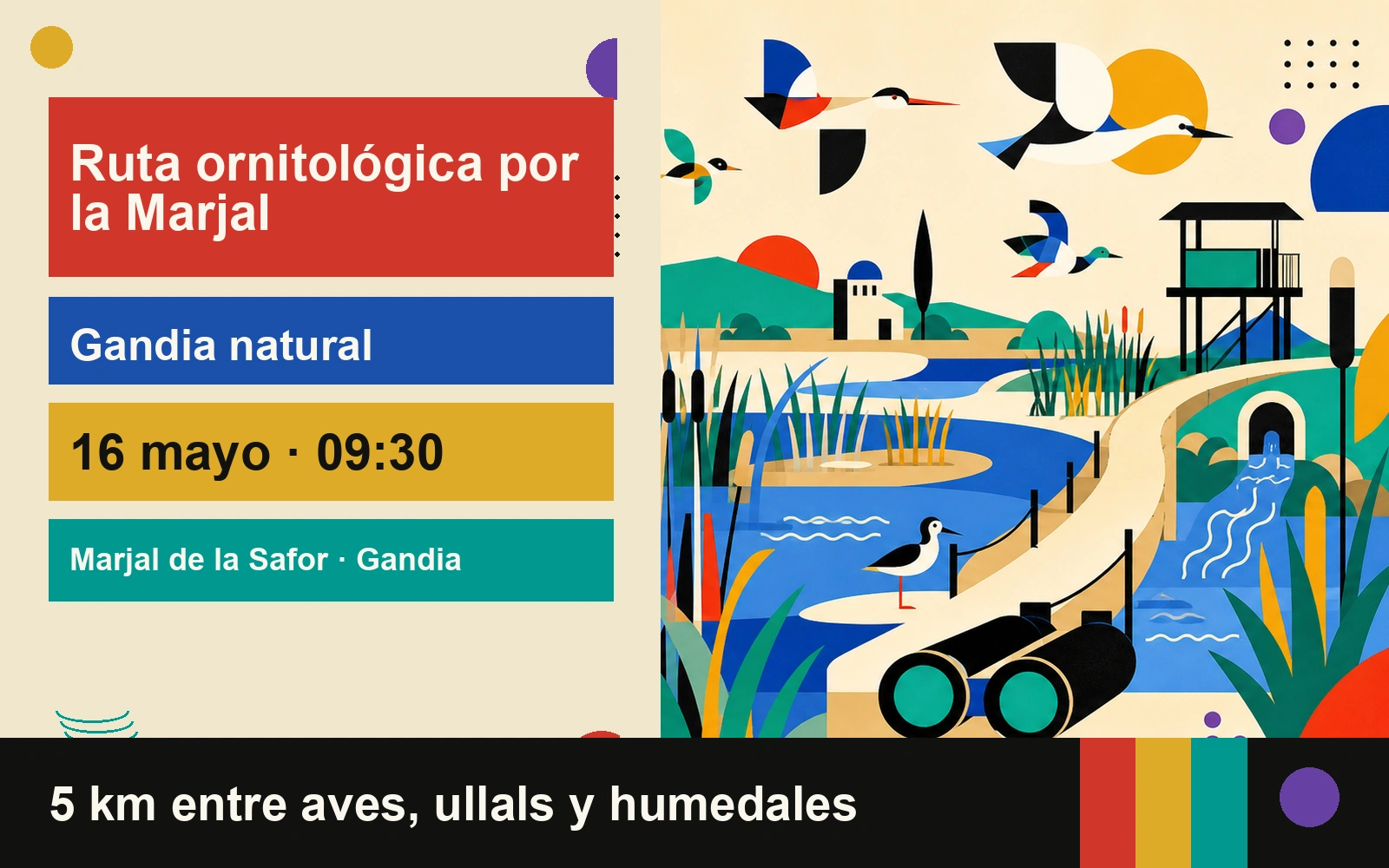 Cartel ilustrativo de la ruta ornitológica por la Marjal de la Safor en Gandia