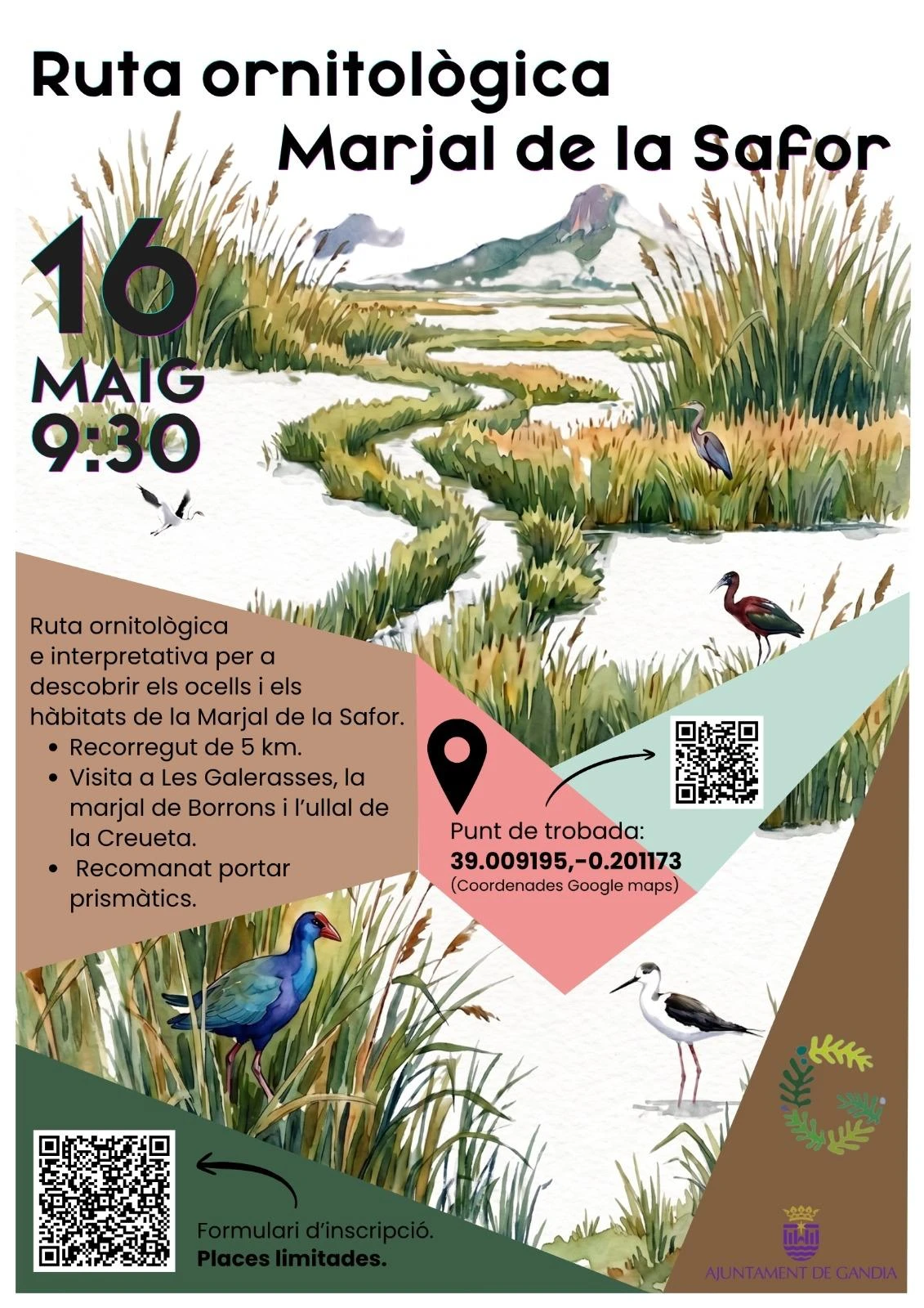 Cartel oficial de la ruta ornitológica por la Marjal de la Safor publicado por la organización