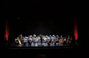 The Universitat de València Philharmonic Orchestra on stage during a concert