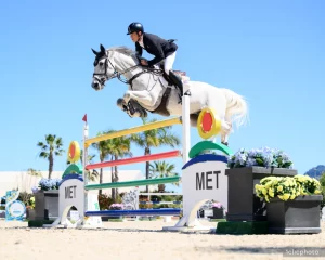 Showjumper mid-jump on a white horse during an equestrian competition.